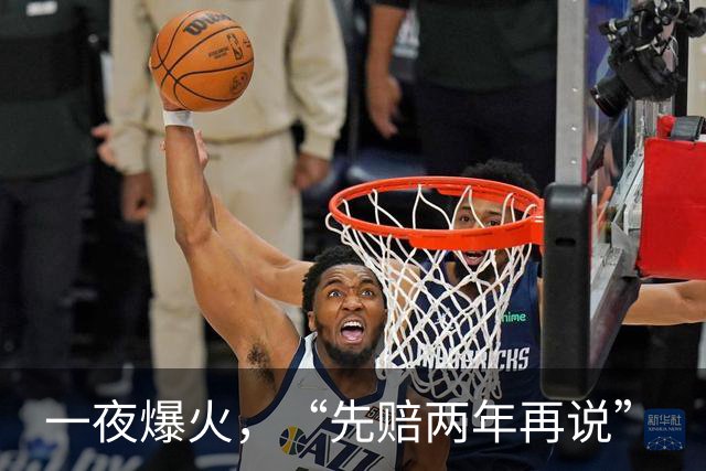 一夜爆火，“先赔两年再说”