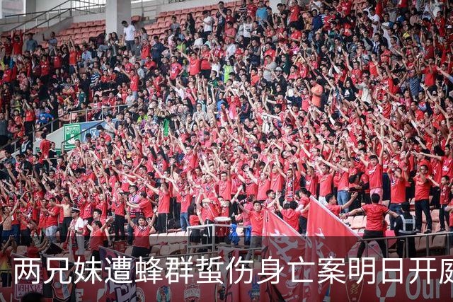 两兄妹遭蜂群蜇伤身亡案明日开庭，养蜂人被控过失致人死亡罪 父母：这一年很煎熬，活在内疚和后悔中