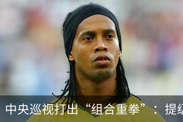 中央巡视打出“组合重拳”：提级办理，深挖“保护伞”一查到底！