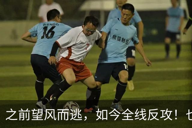 之前望风而逃，如今全线反攻！也门政府军的这波反转来得太突然