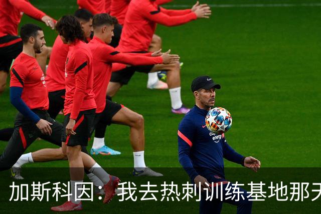 加斯科因：我去热刺训练基地那天，就知道这赛季要出事