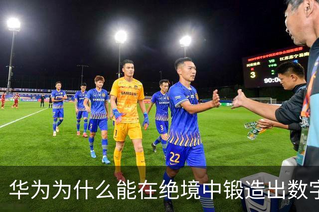 华为为什么能在绝境中锻造出数字主权