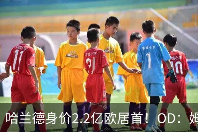 哈兰德身价2.2亿欧居首！OD：姆巴佩第二
