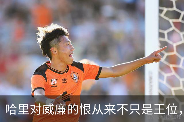 哈里对威廉的恨从来不只是王位，而是威廉那张越来越像戴安娜的脸
