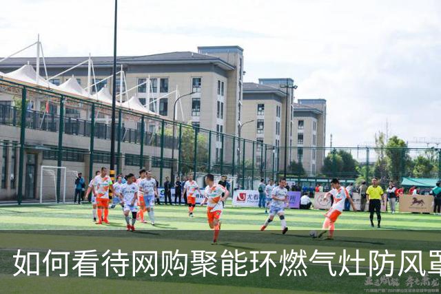 如何看待网购聚能环燃气灶防风罩一月后妻儿中毒死亡，生产者、销售者、电商平台、燃气公司及房东是否承担责任？