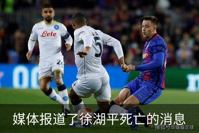 媒体报道了徐湖平死亡的消息