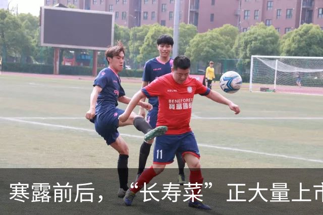 寒露前后，“长寿菜”正大量上市，一通便，二补钾，三控糖，四增强免疫，不懂吃可惜了