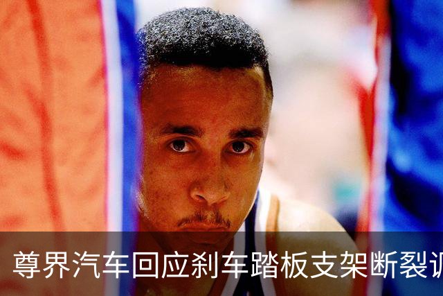 尊界汽车回应刹车踏板支架断裂调查：全力配合调查组