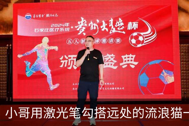 小哥用激光笔勾搭远处的流浪猫一家，可对方靠近后，他却…活爹，你别过来