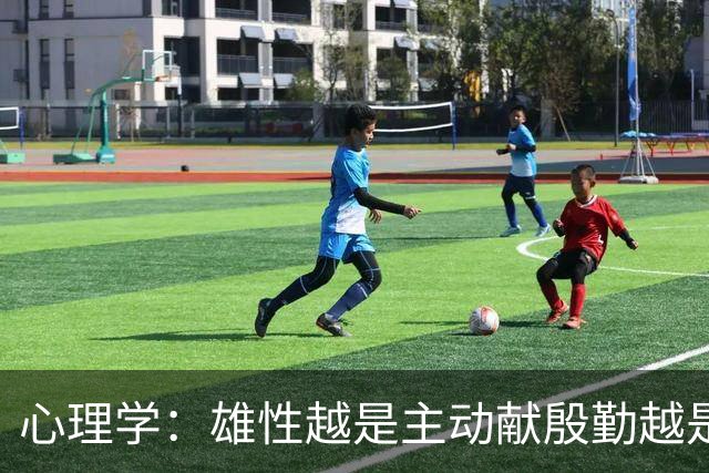 心理学：雄性越是主动献殷勤越是拼命展示价值，越说明他对这场博弈心知肚明，当他突然不再表演了，不是放弃了而是雌性已经上钩了