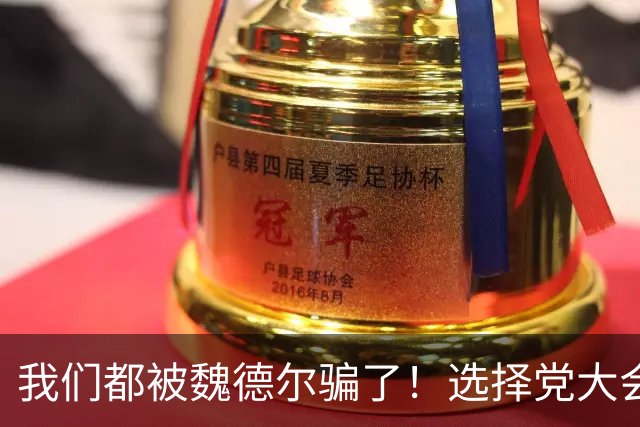 我们都被魏德尔骗了！选择党大会上公开给中国挖坑，极右只是人设