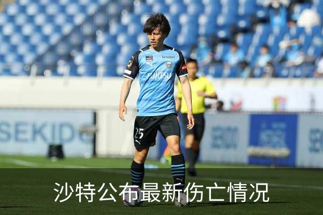 沙特公布最新伤亡情况