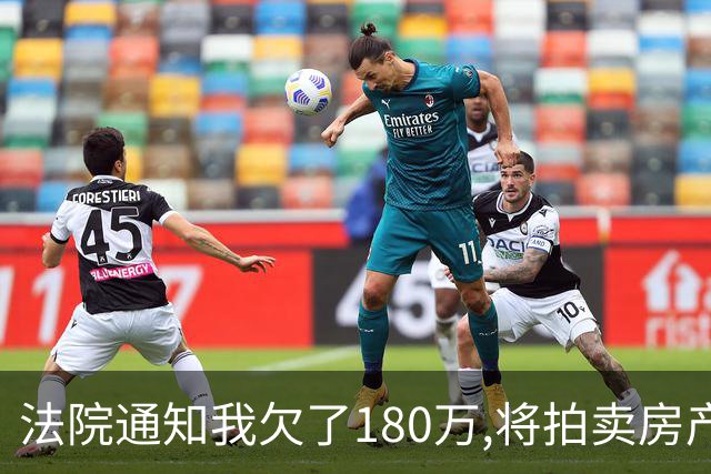 法院通知我欠了180万,将拍卖房产,可我从没借过钱,查征信后我怒了