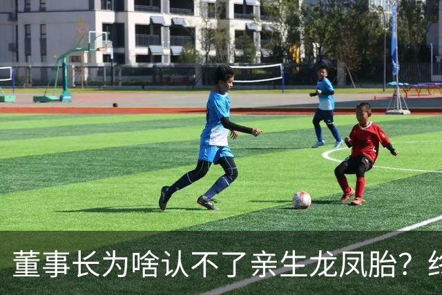 董事长为啥认不了亲生龙凤胎？终于真相大白！