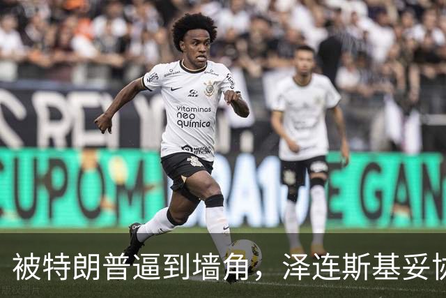 被特朗普逼到墙角，泽连斯基妥协，请求普京给自己60天时间
