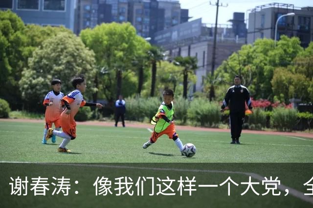 谢春涛：像我们这样一个大党，全面从严治党，靠各级党组织和全体党员、干部动手一起来抓