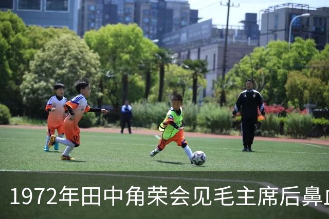 1972年田中角荣会见毛主席后鼻血狂流，叮嘱医生：千万不能说出去
