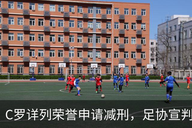 C罗详列荣誉申请减刑，足协宣判停赛30天罚款255元