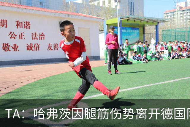 TA：哈弗茨因腿筋伤势离开德国队训练营，将接受核磁扫描检查